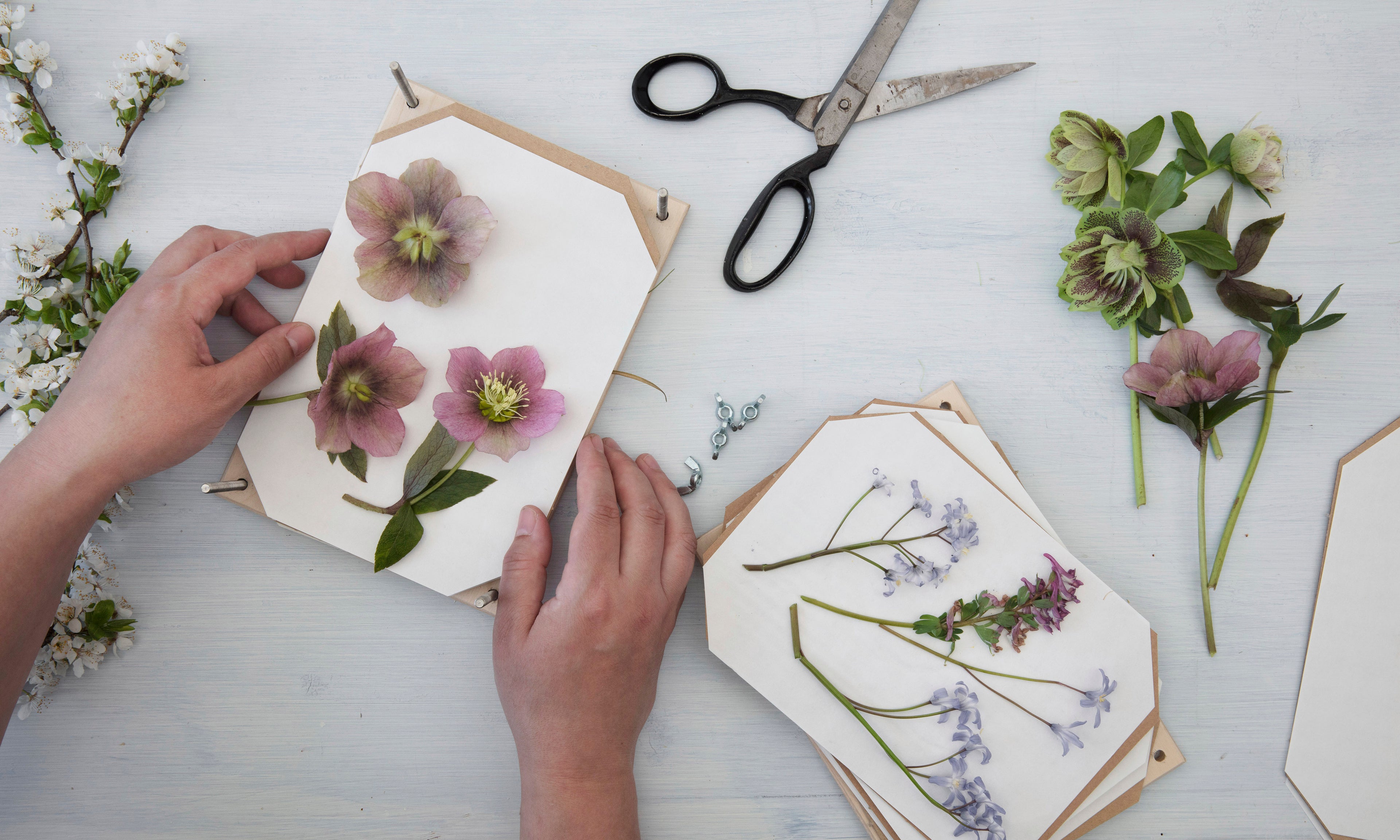 PRES DE SMUKKESTE SOMMERMINDER
